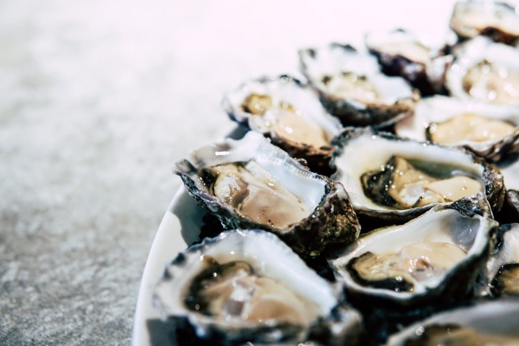 Oyster safari