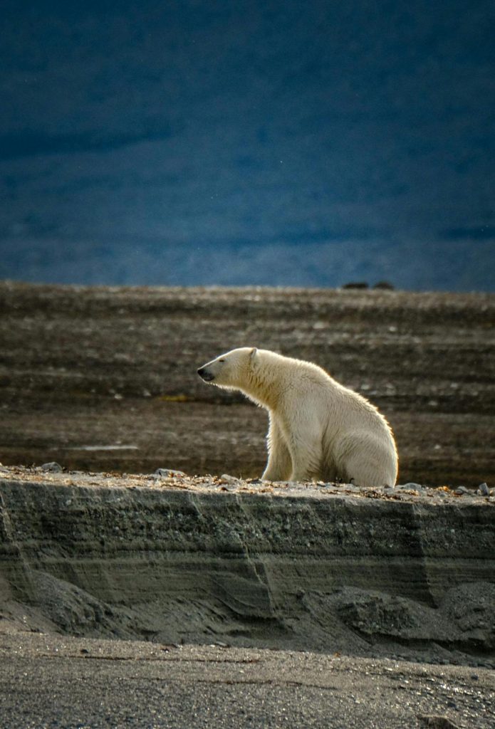 Greenland nature