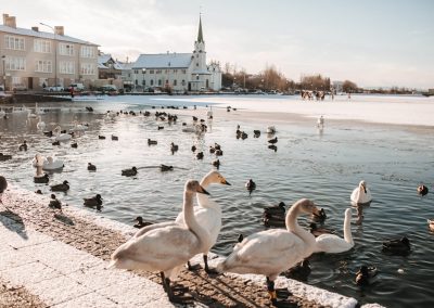 Reykjavik