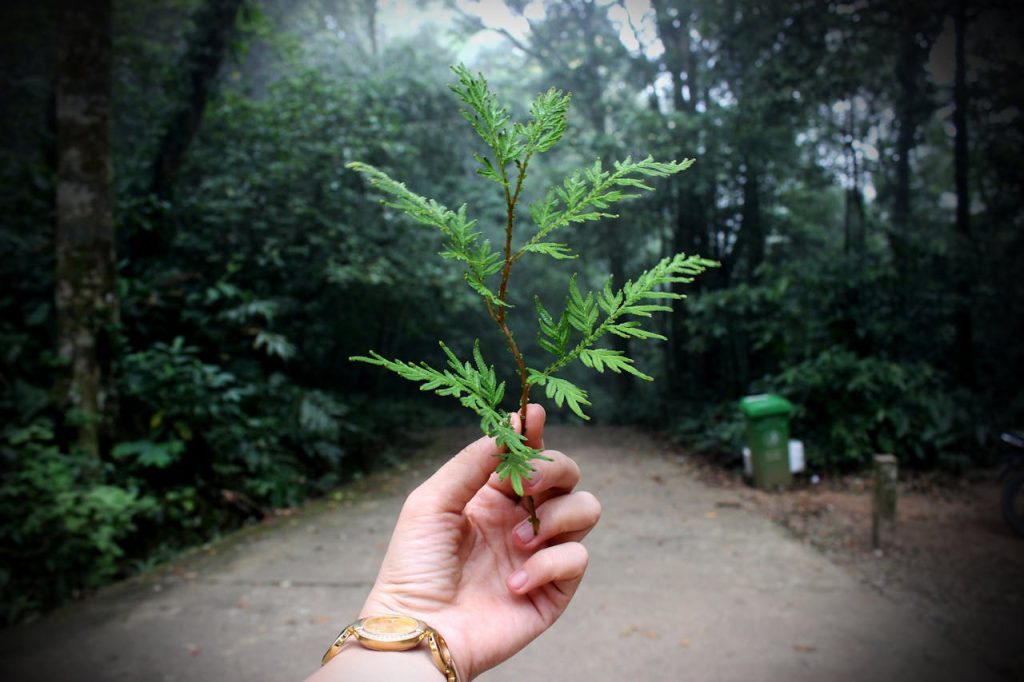 Ecological tours