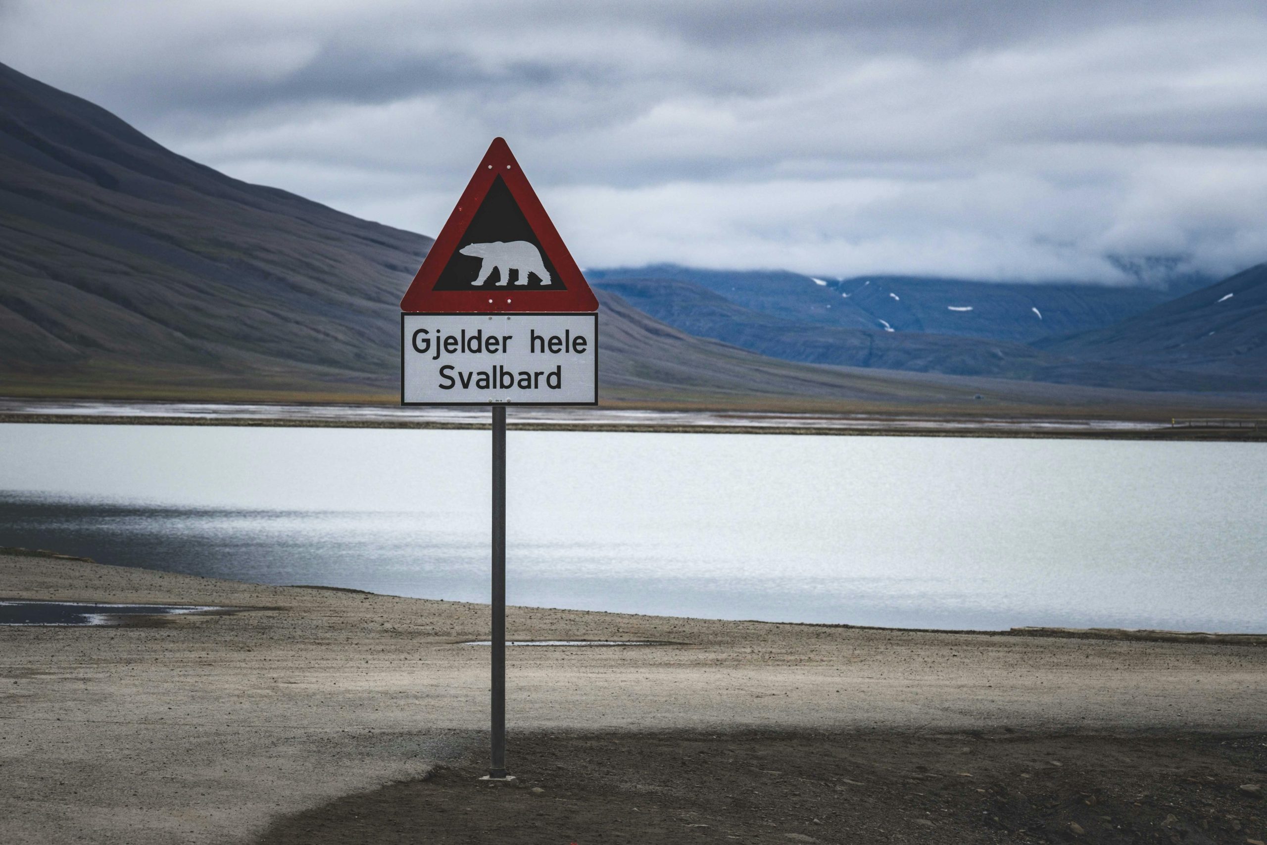 Svalbard; Bear road sign; pexels-Francesco-Ungaro